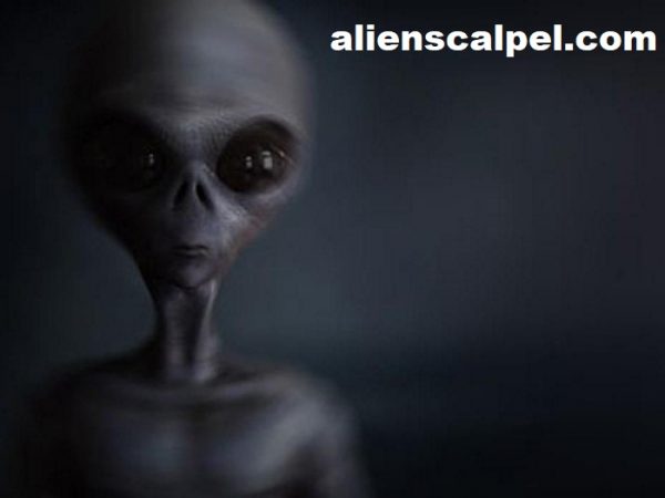 Pencarian Bukti Dari Teknologi Yang Telah Dibangun Oleh Alien Oleh Astronom