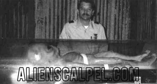 Beberapa Fakta Tentang Keberadaan Alien Yang Dapat Menjawab Pertanyaan Anda