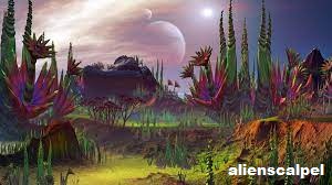 Pencarian Tentang Keberadaan Alien